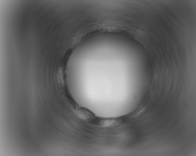 X0000060550575200511030855