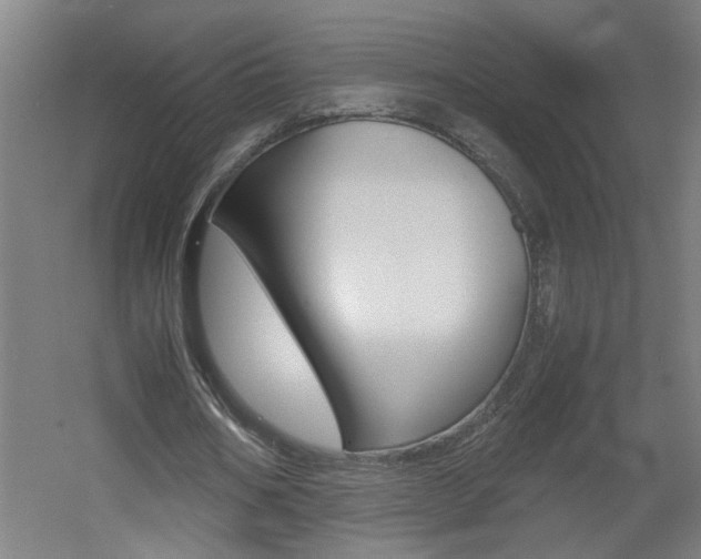 X0000060550578200511030854