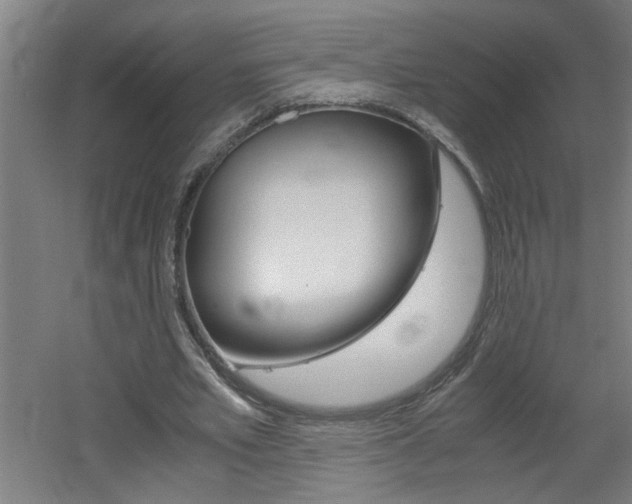 X0000060550581200511030854