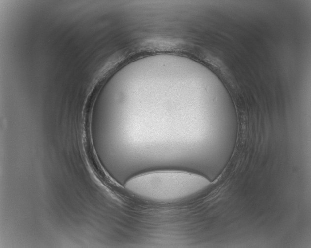 X0000060550582200511030854