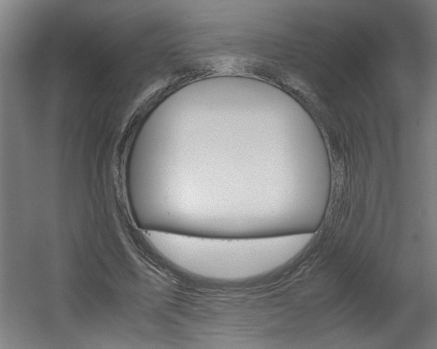 X0000060550587200511030854
