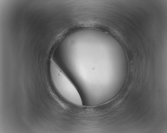 X0000060550589200511030854