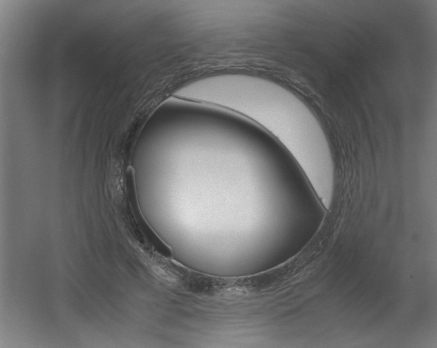 X0000060550593200511030854