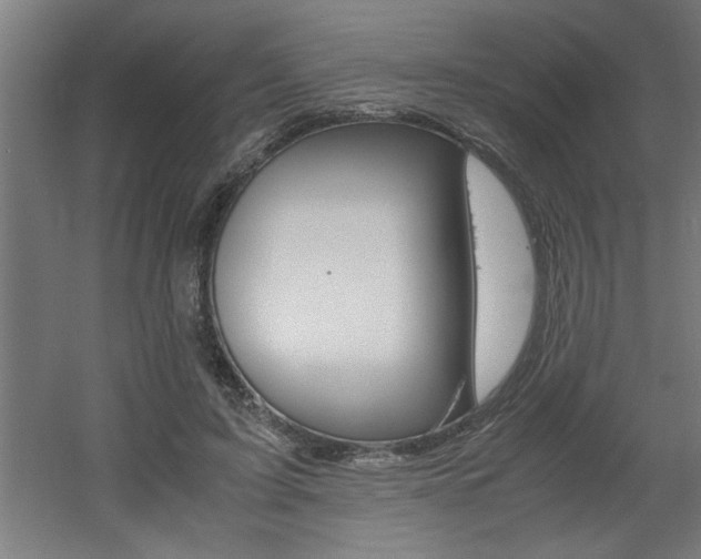X0000060550595200511030854