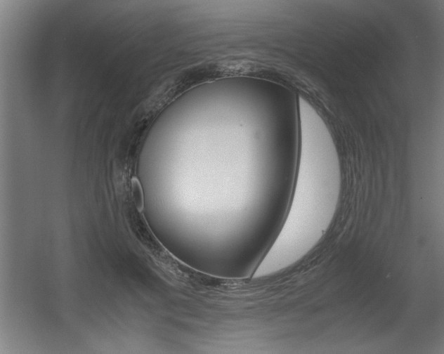 X0000060550601200511030854