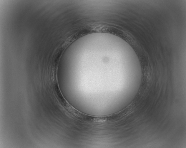 X0000060550602200511030854