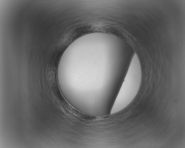 X0000060550603200511030854