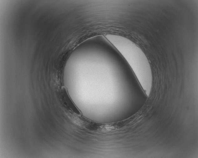 X0000060550607200511030853