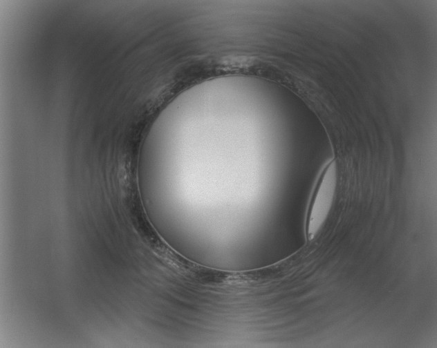 X0000060550608200511030853