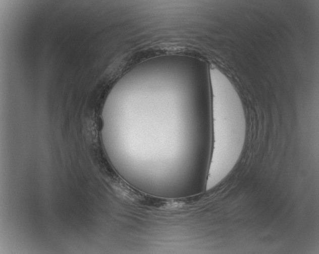 X0000060550609200511030853