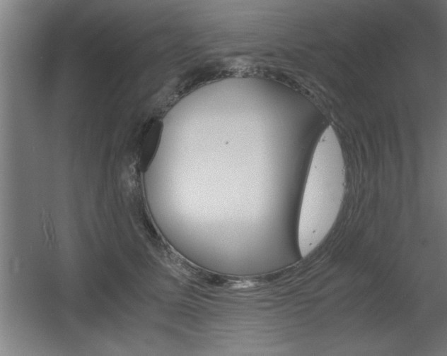X0000060550611200511030853