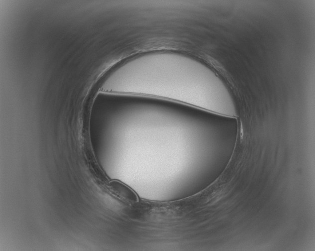 X0000060550627200511030852