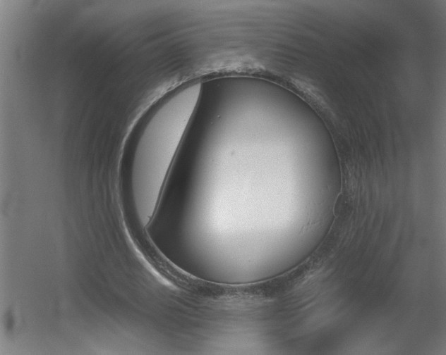 X0000060550630200511030852