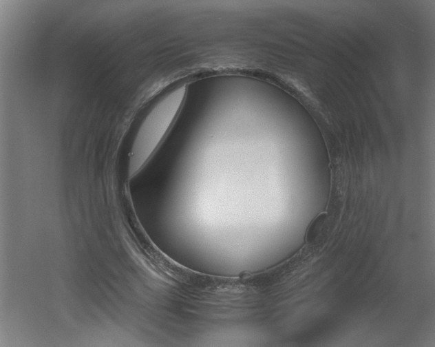 X0000060550631200511030852