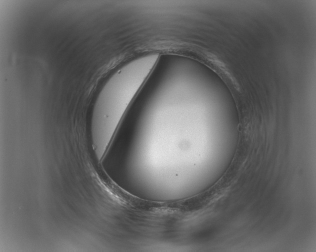 X0000060550633200511030853