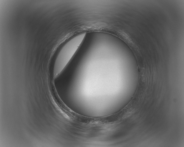 X0000060550634200511030853