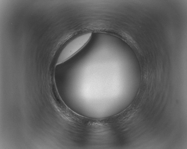 X0000060550635200511030853