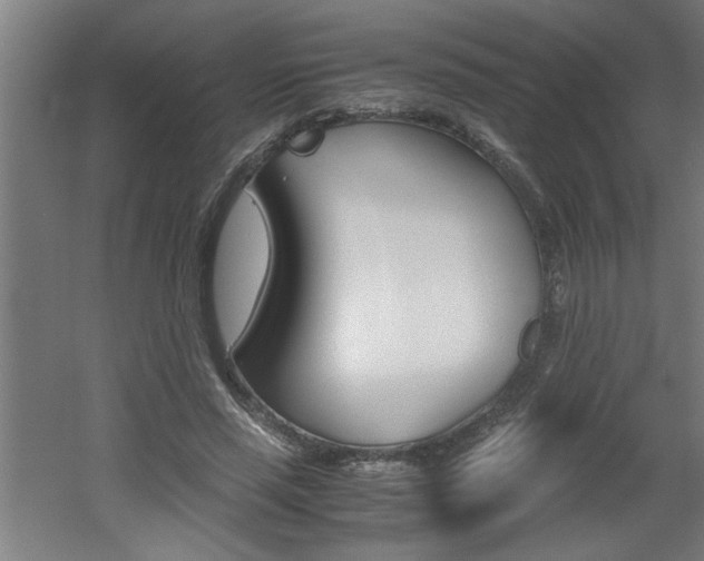 X0000060550637200511030853