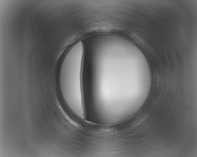 X0000060550638200511030853