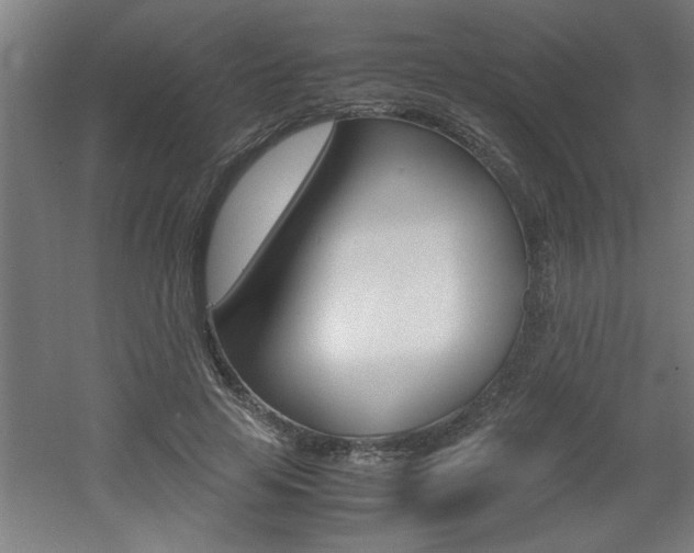 X0000060550641200511030853