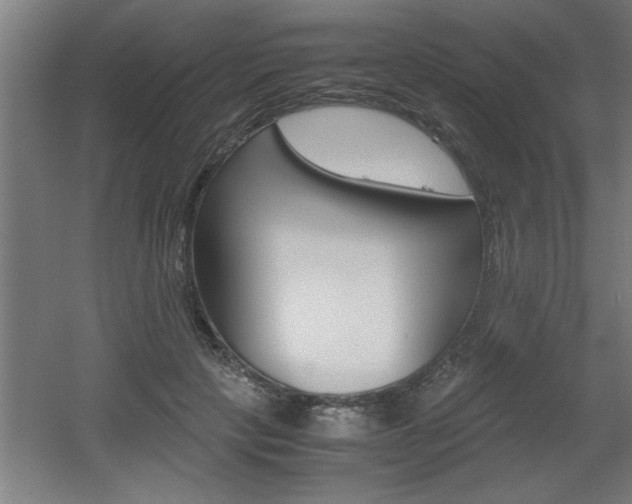 X0000060550649200511030853