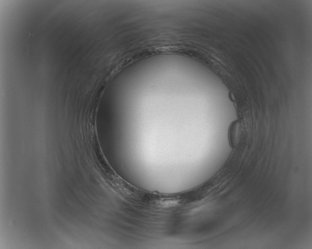 X0000060550651200511030853