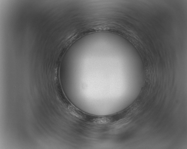 X0000060550652200511030853