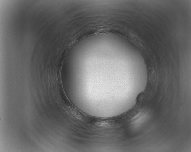 X0000060550655200511030853
