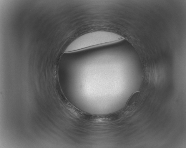 X0000060550657200511030853