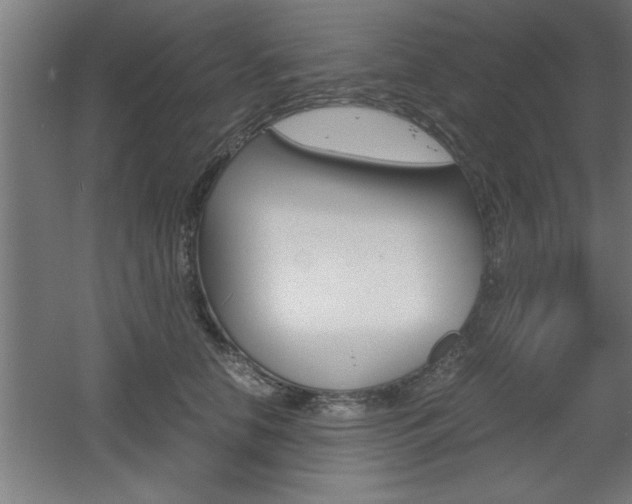 X0000060550658200511030853