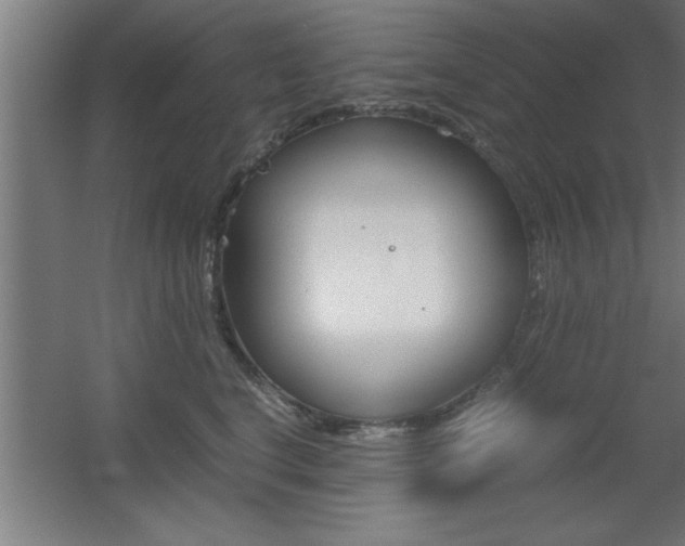 X0000060550664200511030853