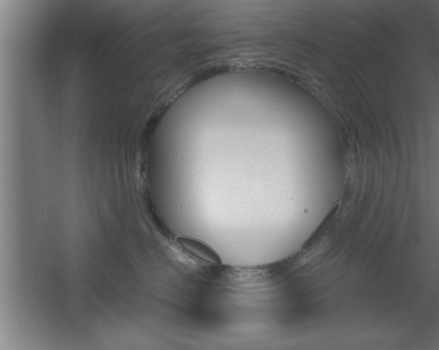 X0000060550670200511030853