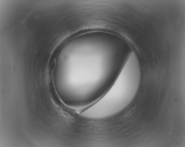 X0000060550676200511030852