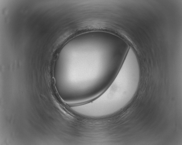 X0000060550677200511030852