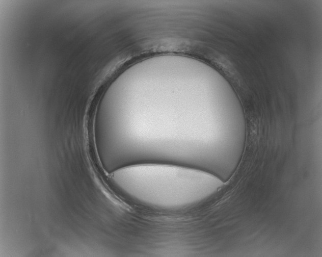 X0000060550678200511030852