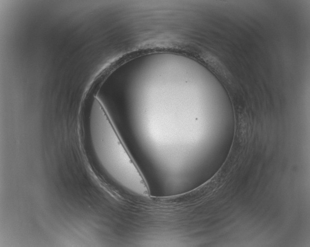 X0000060550680200511030852