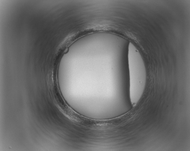 X0000060550686200511030852