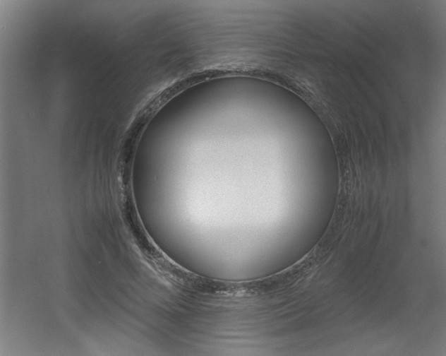 X0000060550688200511030852