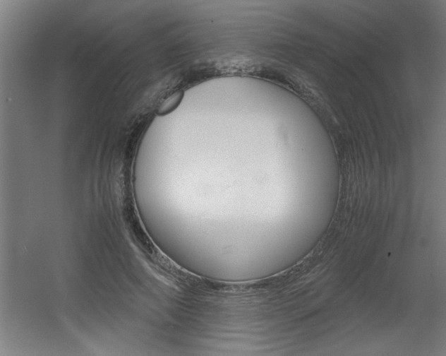 X0000060550690200511030852