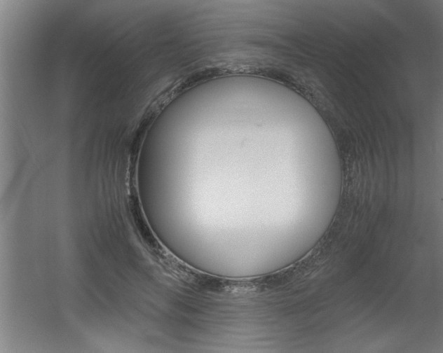 X0000060550694200511030852