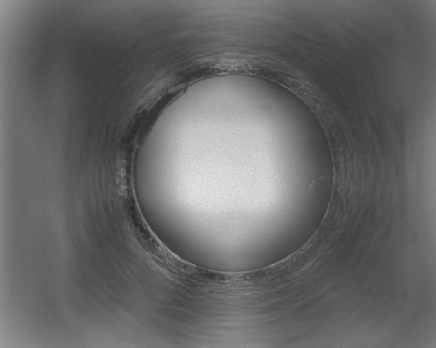 X0000060550696200511030852