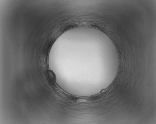 X0000060550699200511030852