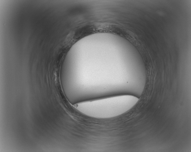 X0000060550703200511030852
