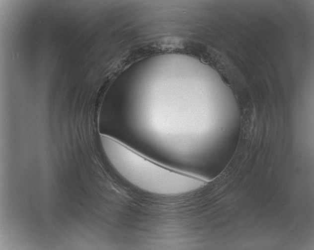X0000060550704200511030852