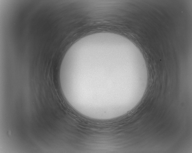 X0000060550705200511030852