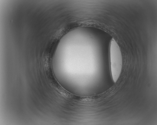 X0000060550708200511030852