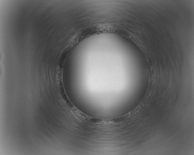 X0000060550712200511030852