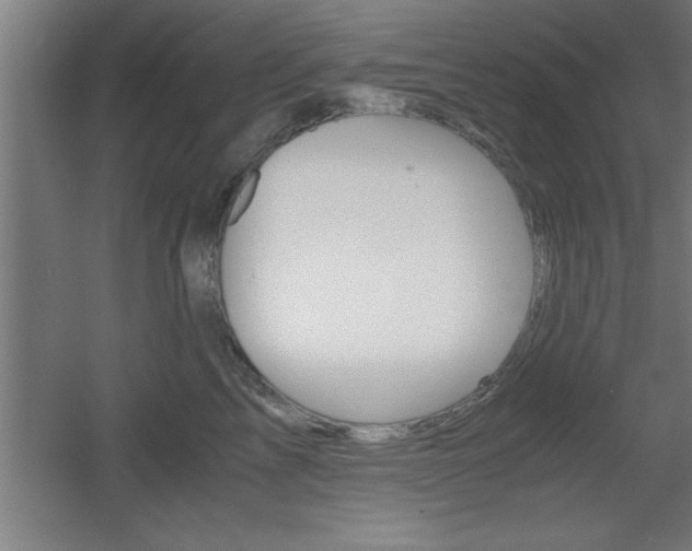 X0000060550713200511030852