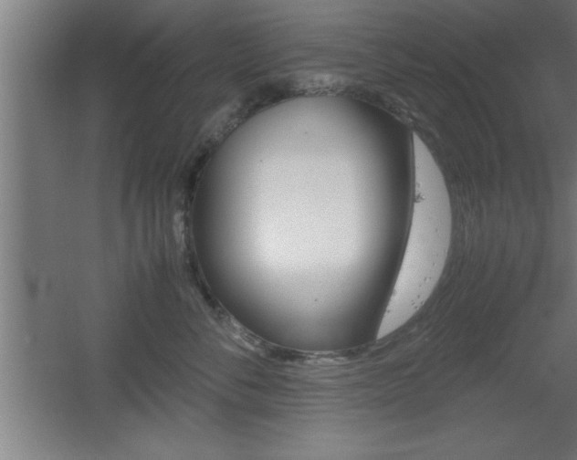 X0000060550716200511030852