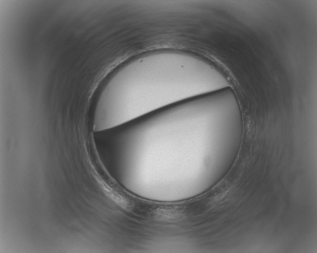 X0000060550725200511030851